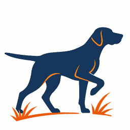 Chiens