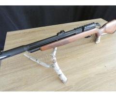 Pack Carabine À Air Comprimé Gamo Riser Punisher + Lunette + Pompe Flex Pcp Arrow + Plombs - G1675p 